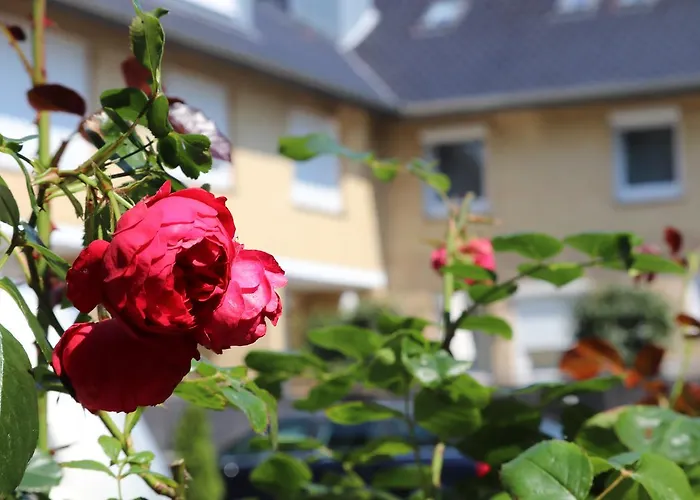 Hotell Ostseeresidenz Cammann 4*